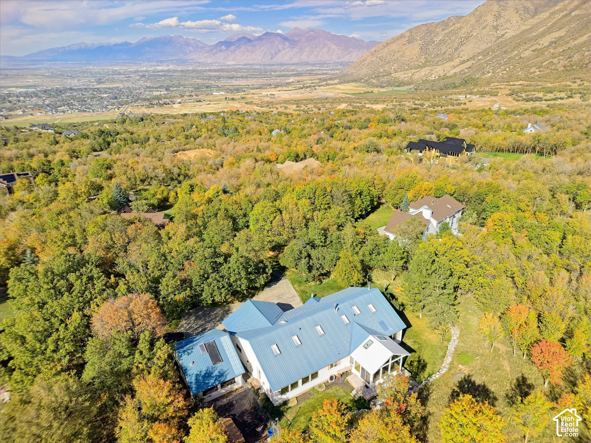 Expansive property with a blue metal roof, multiple skylights, and a covered patio area