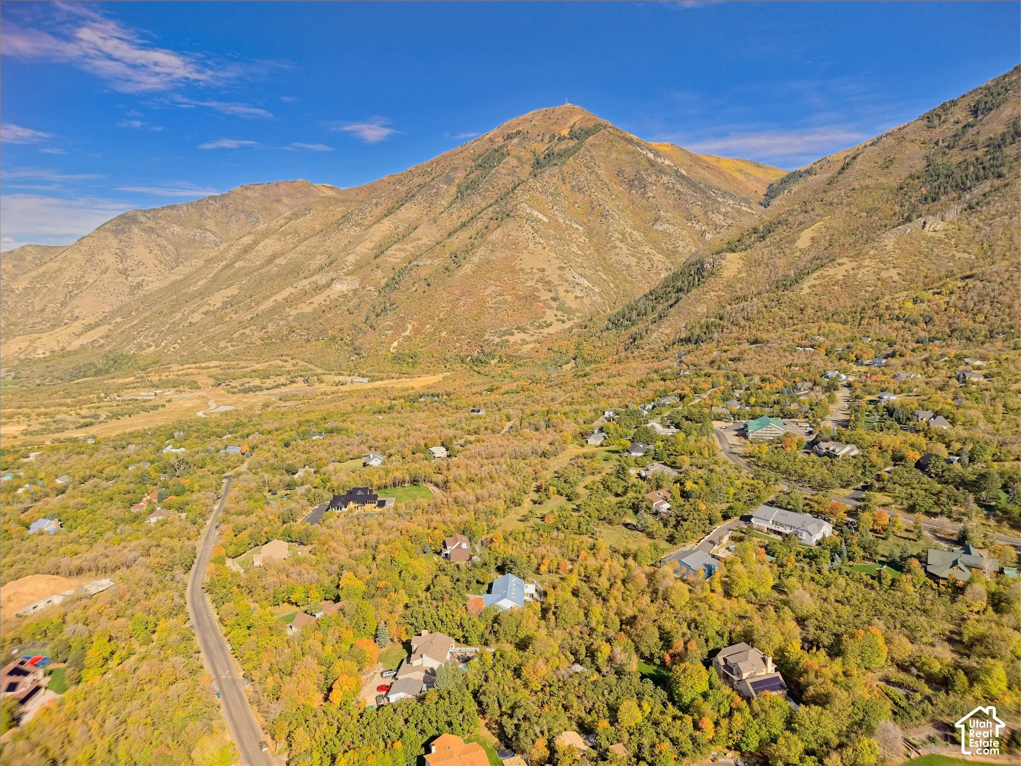 Mountainous terrain with natural vegetation