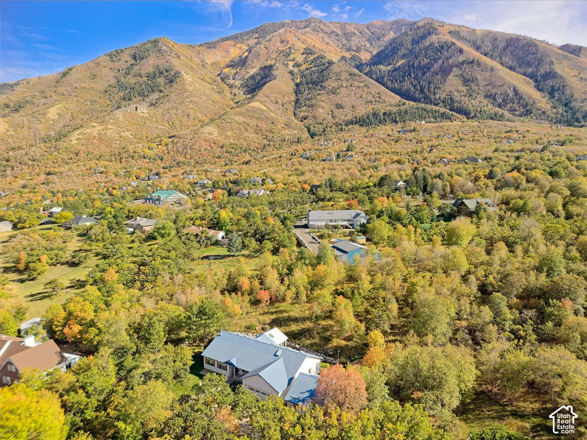 Mountain backdrop with substantial tree coverage and residential structures