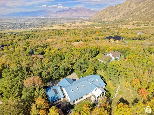 Expansive property with a blue metal roof, multiple skylights, and a covered patio area