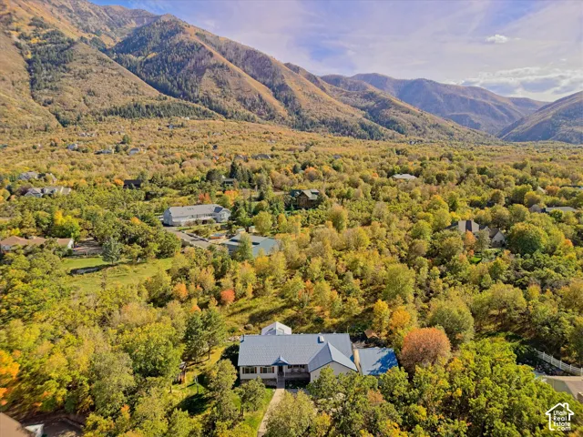 Aerial perspective showcasing a property surrounded by mature trees, set against a backdrop of distant mountains