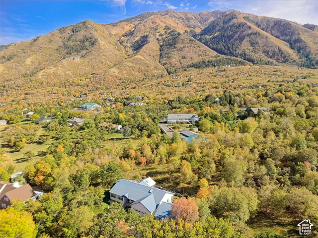 Mountain backdrop with substantial tree coverage and residential structures