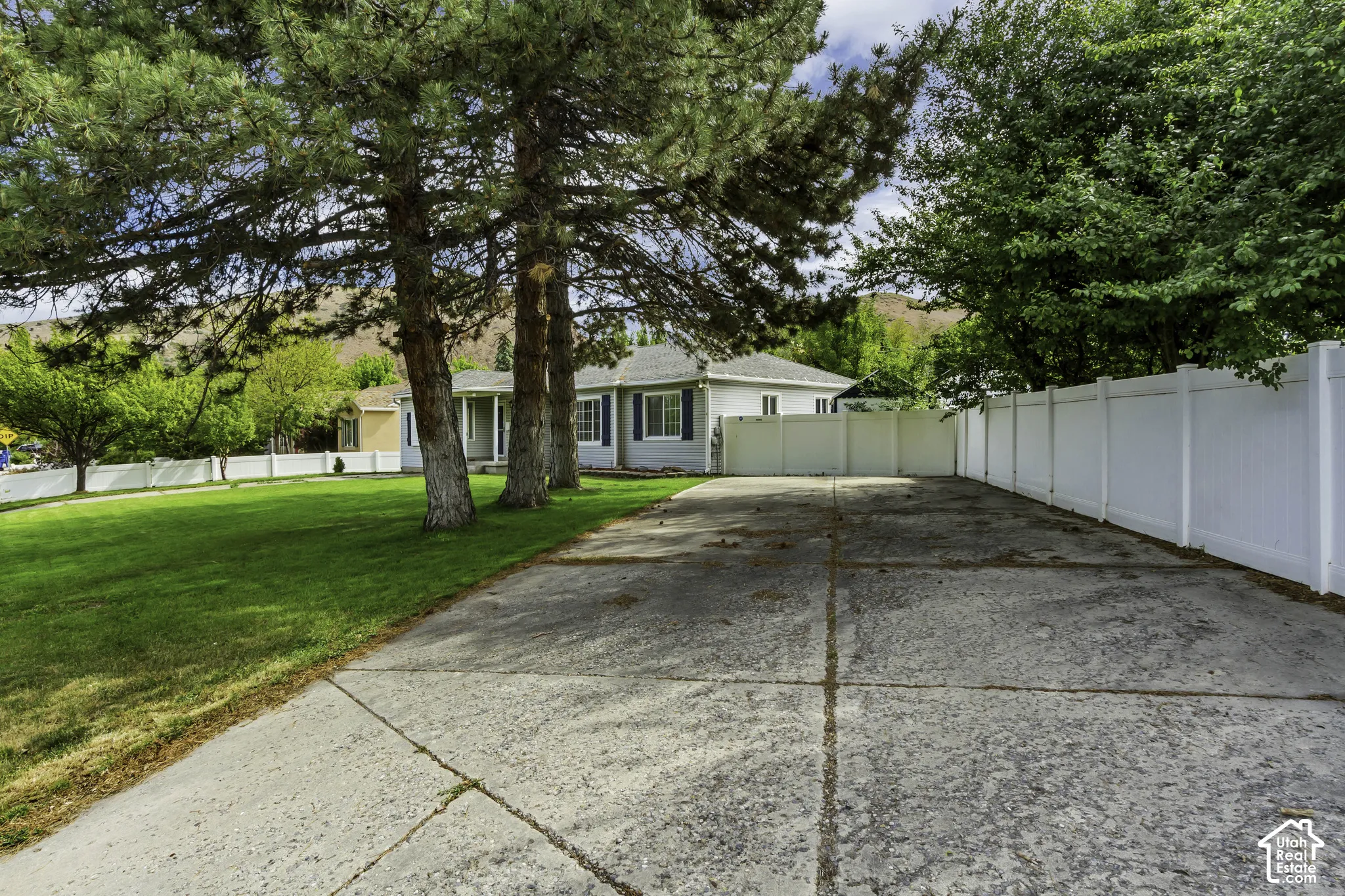 Expansive concrete driveway with mature shade trees and manicured lawn, flanked by white vinyl fencing