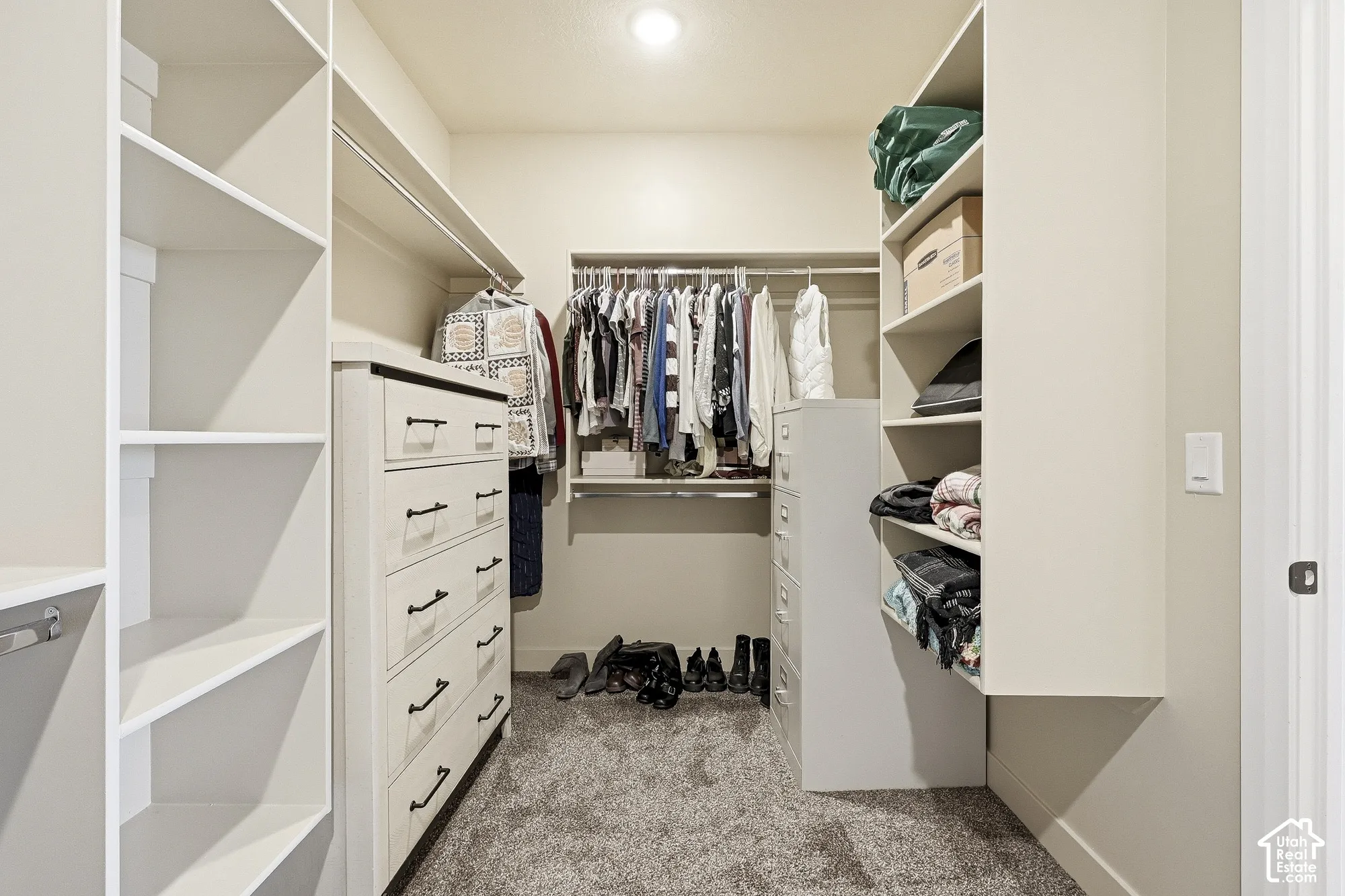 Built-in shelving, hanging rods, and recessed lighting