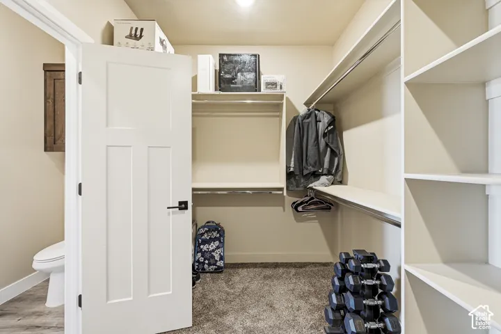 Walk-in closet featuring built-in shelving, hanging rods, and carpet flooring