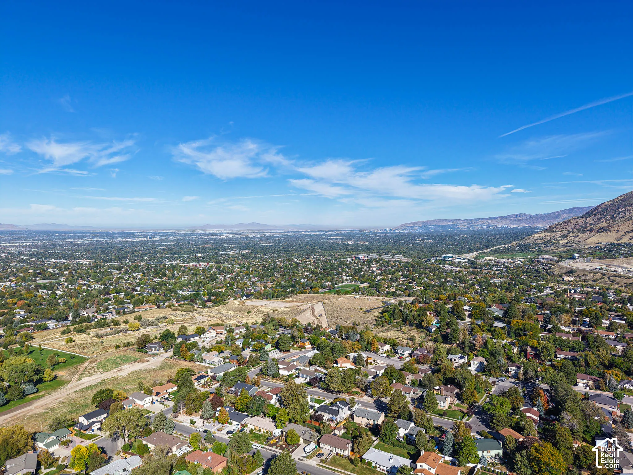 Expansive aerial perspective showcasing a residential area with mature trees, a distant mountain range, and a clear blue sky