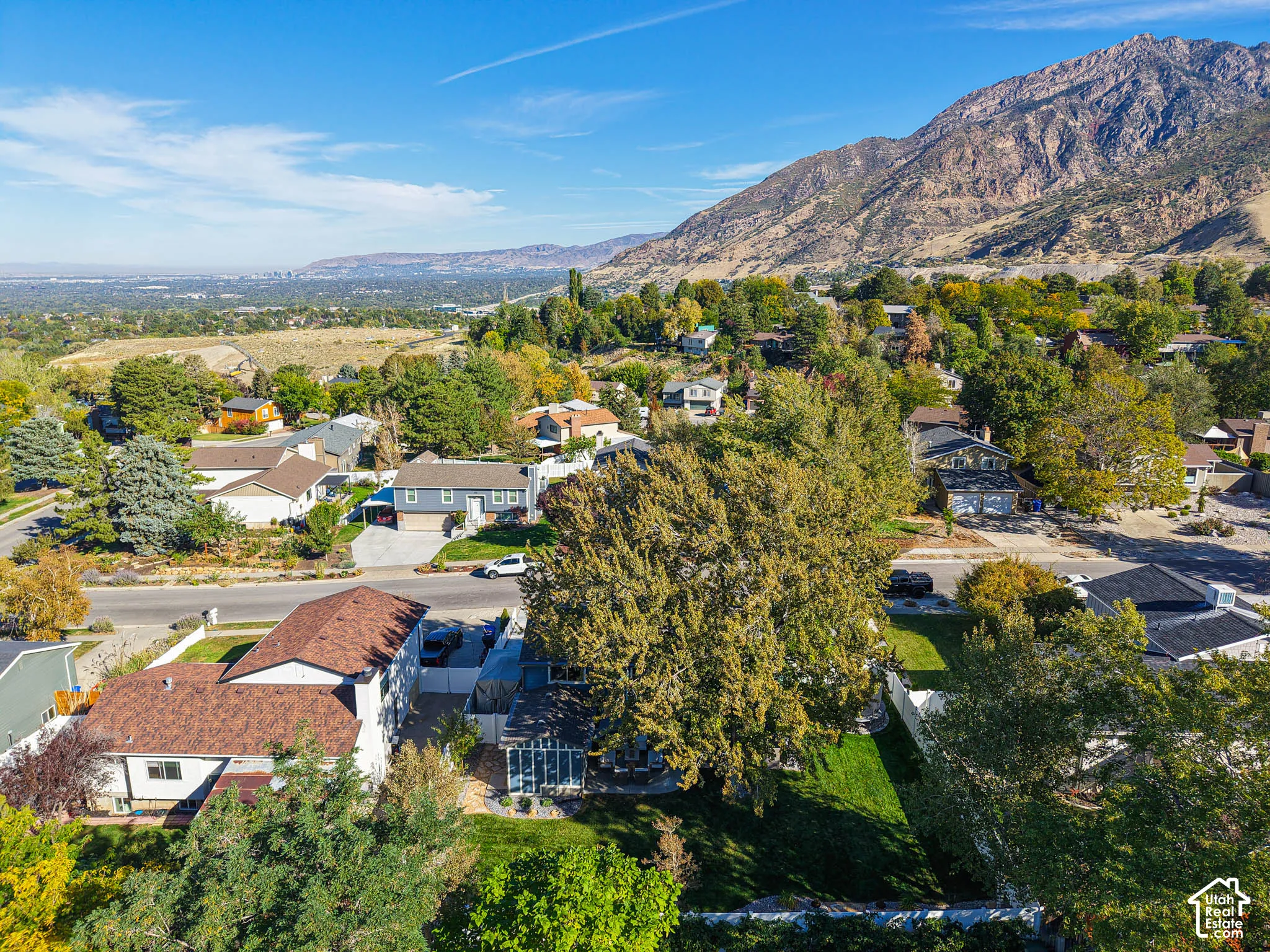Expansive suburban neighborhood with mature trees, mountain backdrop, and distant cityscape