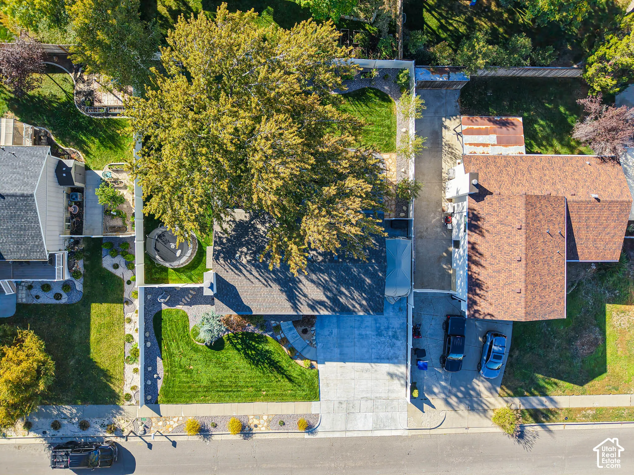 Manicured lawn, mature trees, concrete driveway, stone garden beds, and bark mulch landscaping