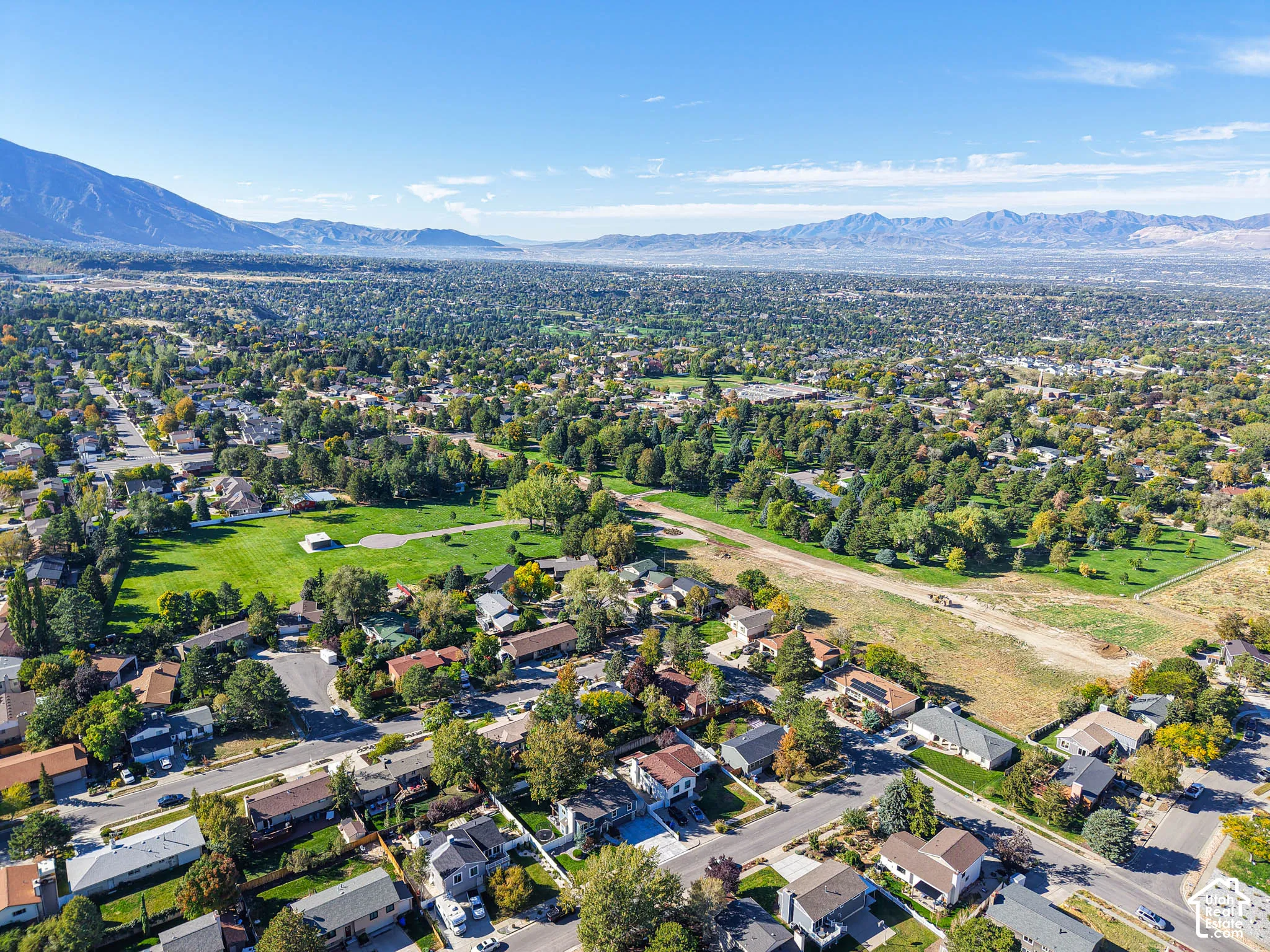 Expansive residential area with mature trees and a distant mountain backdrop