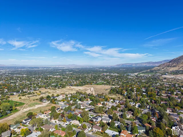 Expansive aerial perspective showcasing a residential area with mature trees, a distant mountain range, and a clear blue sky