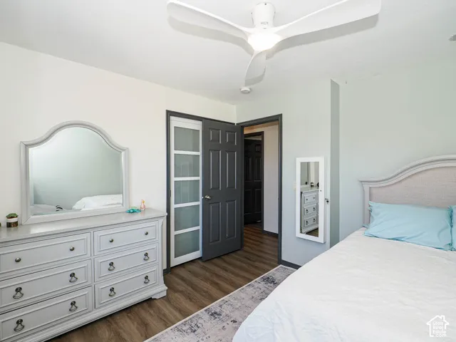 Wood-finish flooring, white ceiling fan, and painted interior doors