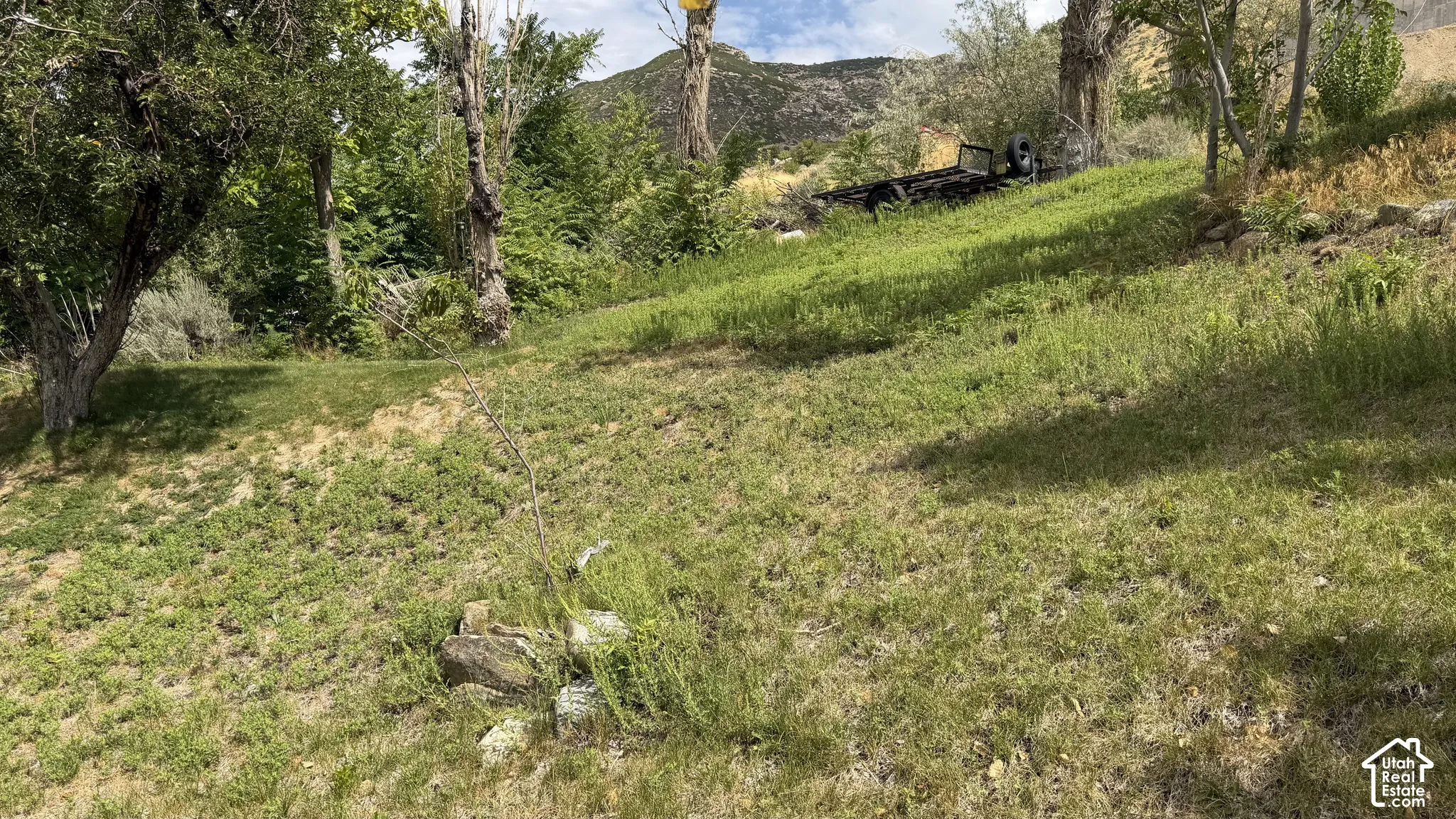 Additional contentThe image shows an expansive sloped yard with mature trees and natural landscape features, but lacks sufficient detail regarding permanent structures, hardscaping materials, or built-in elements that would support a compelling property