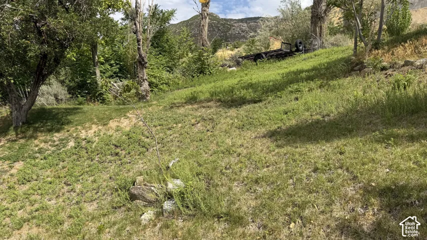 Additional contentThe image shows an expansive sloped yard with mature trees and natural landscape features, but lacks sufficient detail regarding permanent structures, hardscaping materials, or built-in elements that would support a compelling property