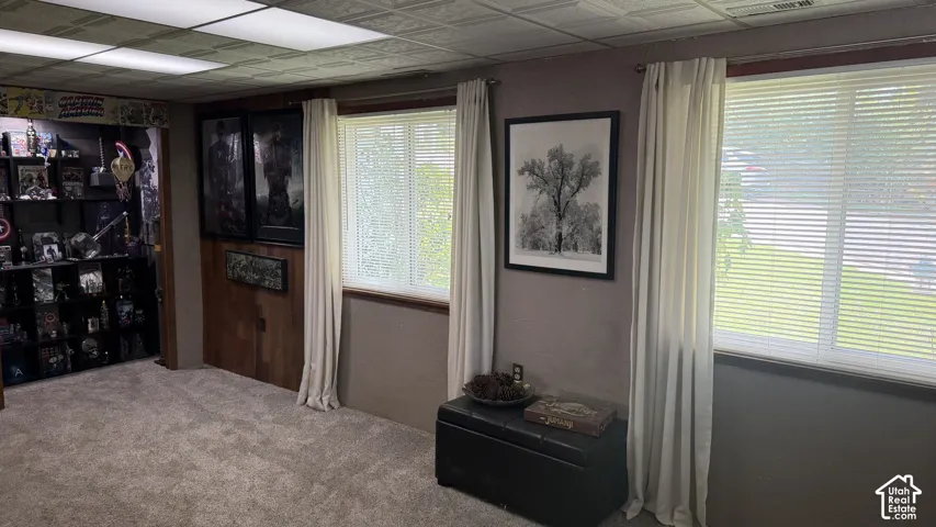 Versatile interior space featuring neutral carpeting and abundant natural light from multiple windows