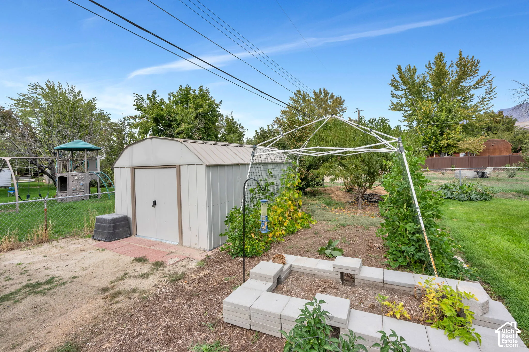 Storage shed for yard essentials and garden grown vine trellis