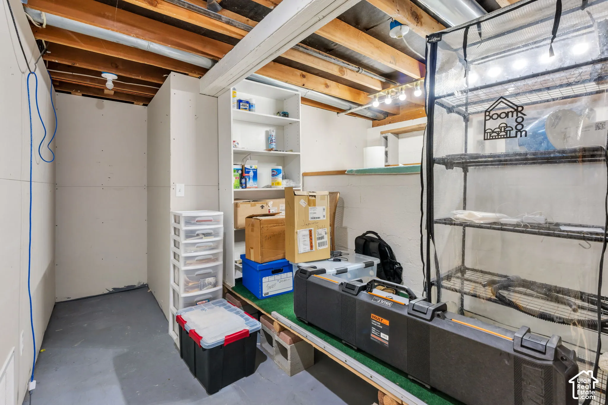 basement storage area