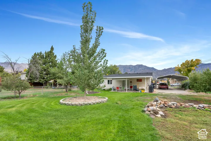 Expansive rear yard featuring a manicured lawn and mature trees