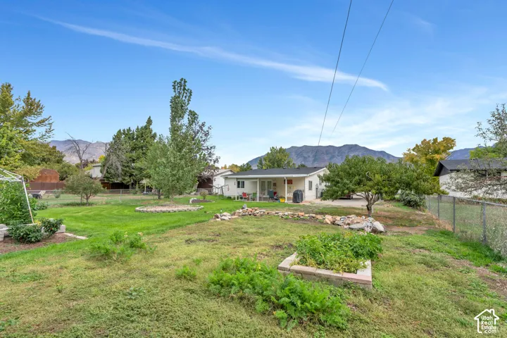 Expansive grounds featuring 4 established fruit trees, and a manicured lawn with several garden beds