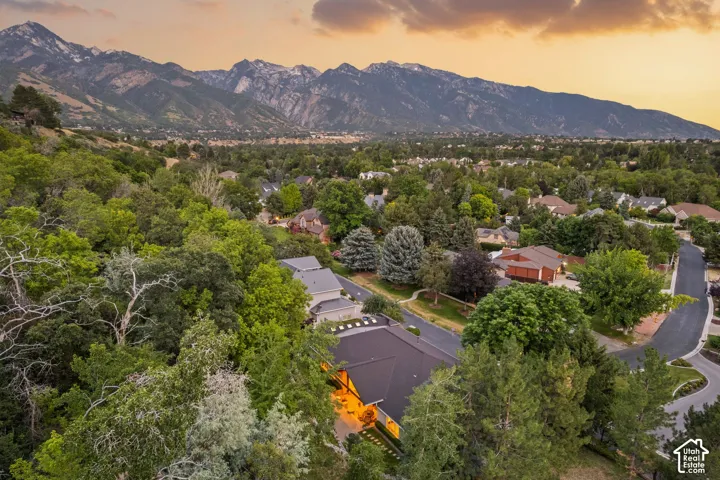 Mountain backdrop, extensive tree coverage, residential area, paved roads, and lush landscaping