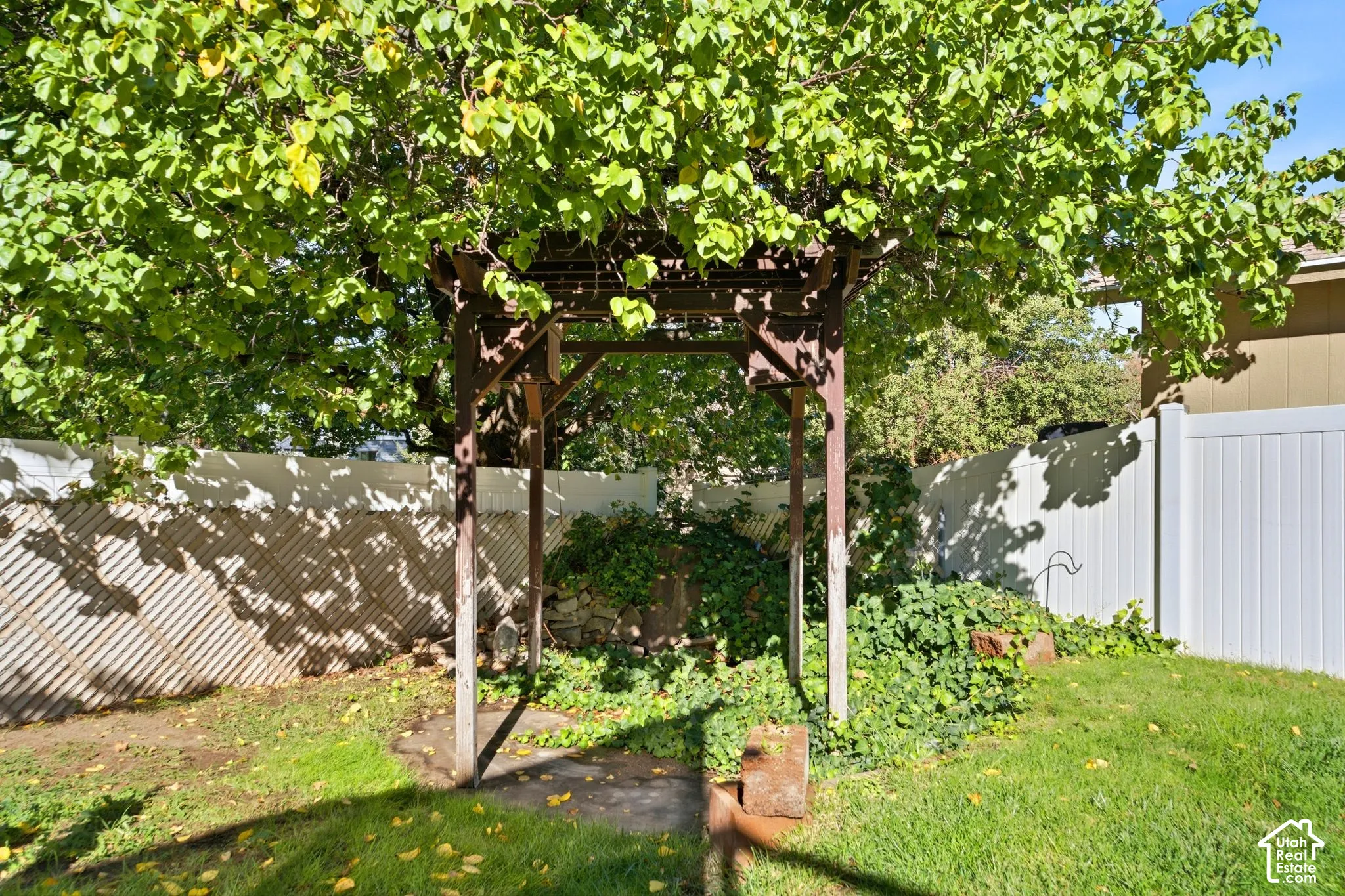 Lush green lawn with a mature tree providing shade, a wooden pergola structure, a white privacy fence, and established ground cover