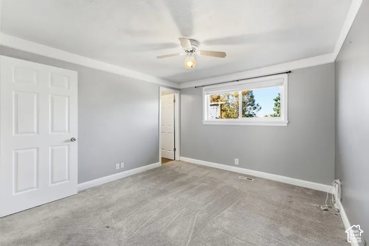 Carpeted flooring, crown molding, ceiling fan with light fixture, and a white-framed window