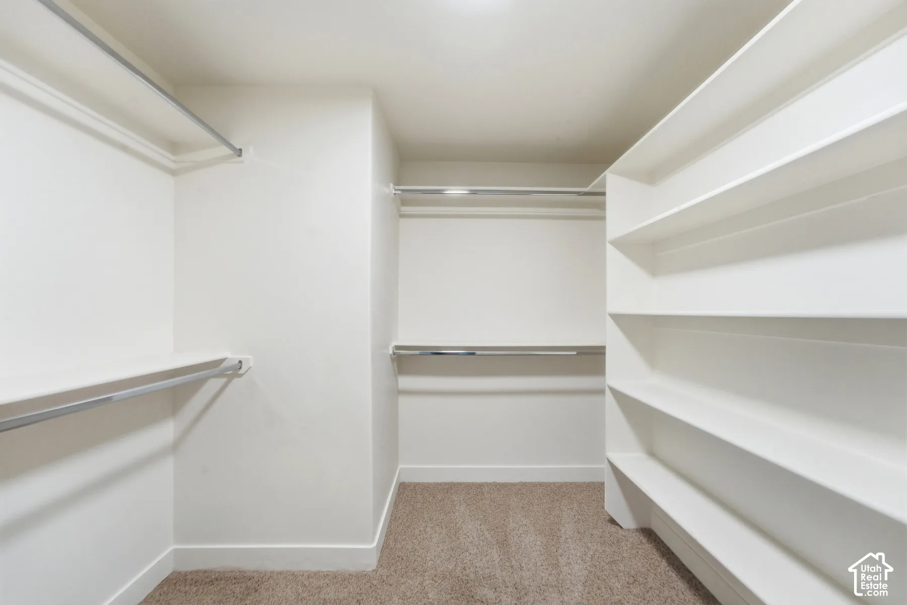 Spacious walk-in closet featuring built-in shelving, multiple hanging rods, and neutral-toned carpeting