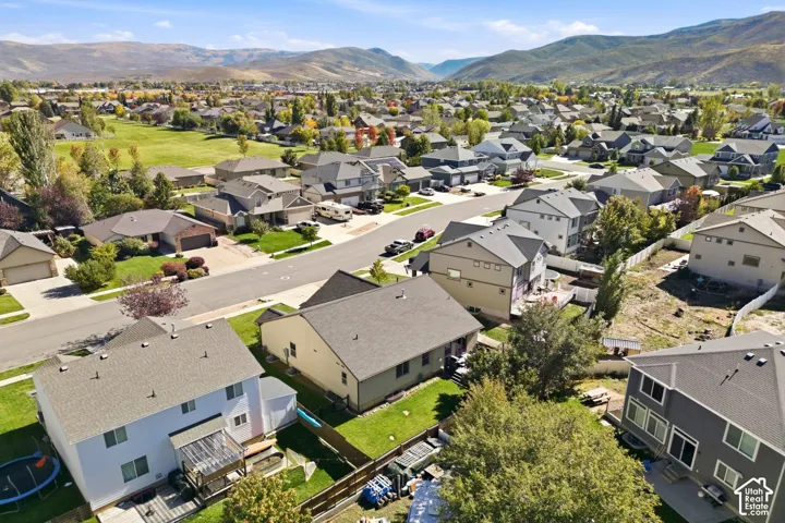 Residential street with detached homes, mature trees, and mountainous background