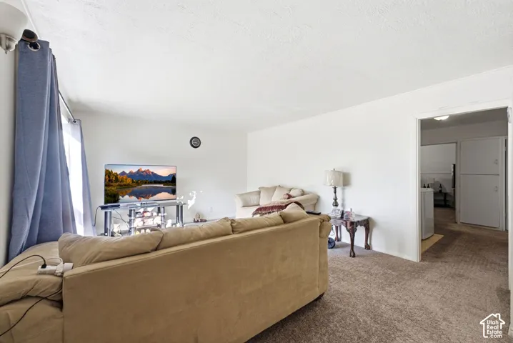 White painted walls, carpeted flooring, and a recessed doorway