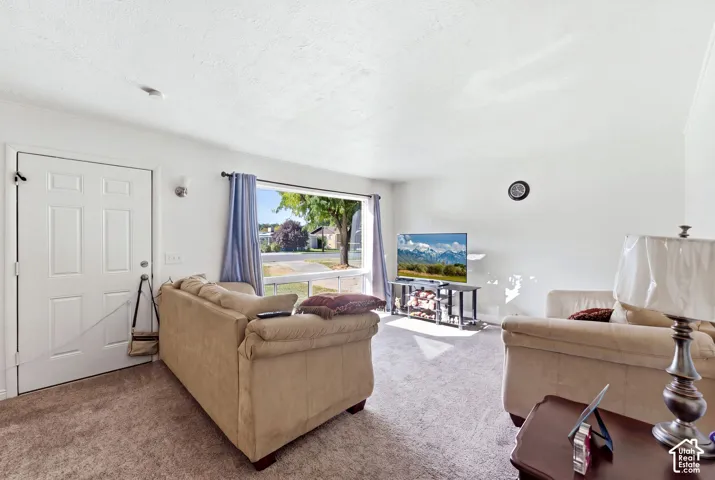 Carpeted flooring, white interior walls, and an exterior door with paneling