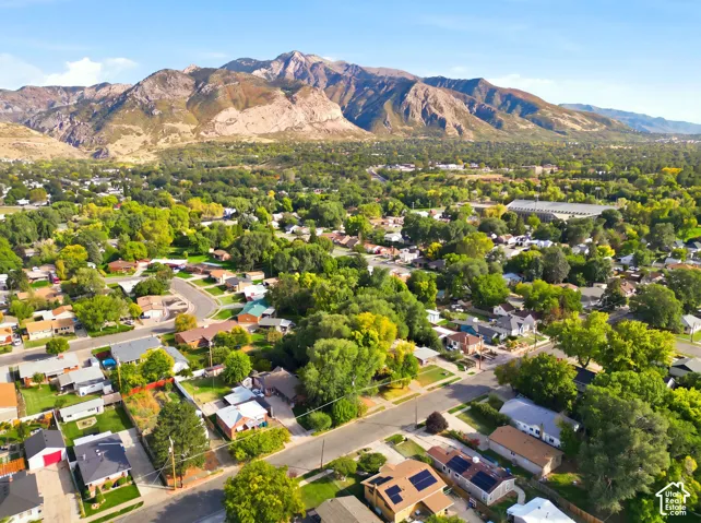 Residential neighborhood with mature trees and mountain scenery