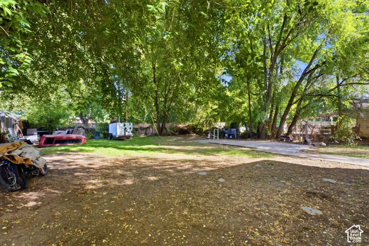 Expansive yard featuring a large grassy area, mature trees, and a concrete pad