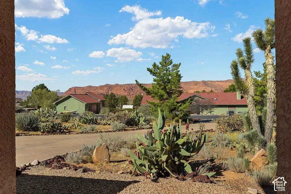 Landscaped grounds featuring desert flora
