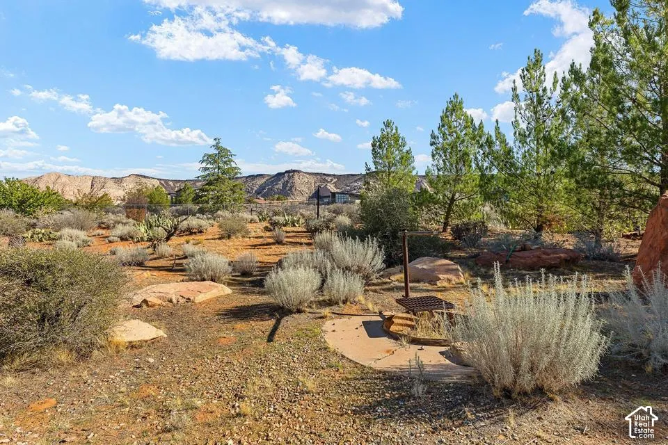 Landscaped property featuring native desert vegetation, mature trees, and natural rock elements