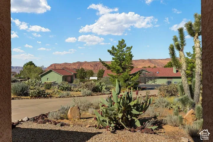 Landscaped grounds featuring desert flora