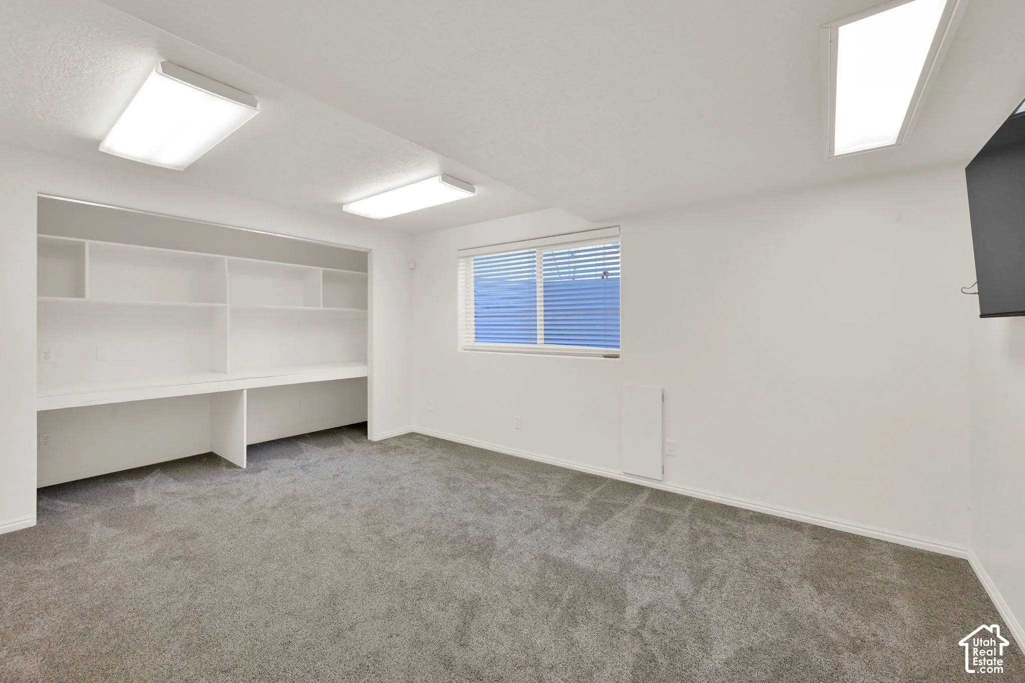 Basement bedroom with closet 1