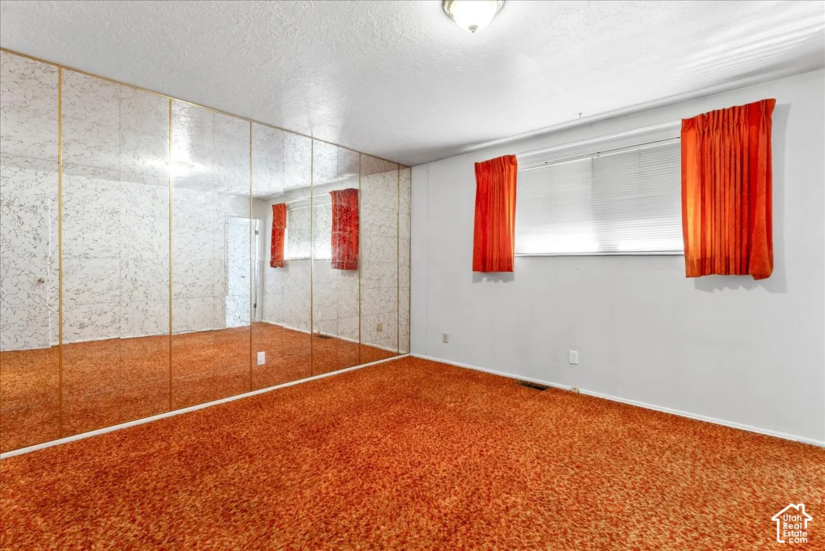 Wall-to-wall mirrored closet doors with gold-toned trim, two windows with blinds, a ceiling-mounted light fixture, and textured wall finish
