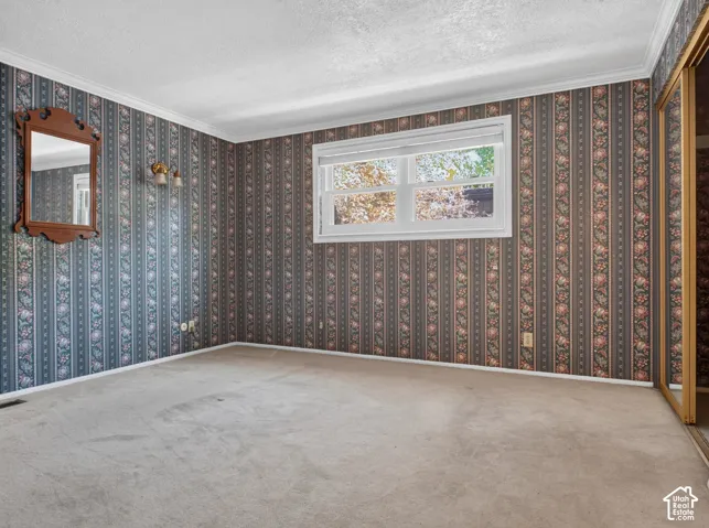 Carpeted room featuring a window with white trim, a decorative sconce, and a mirrored closet door