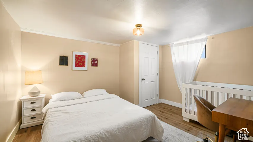 Wood-finish flooring, crown molding, and a paneled door
