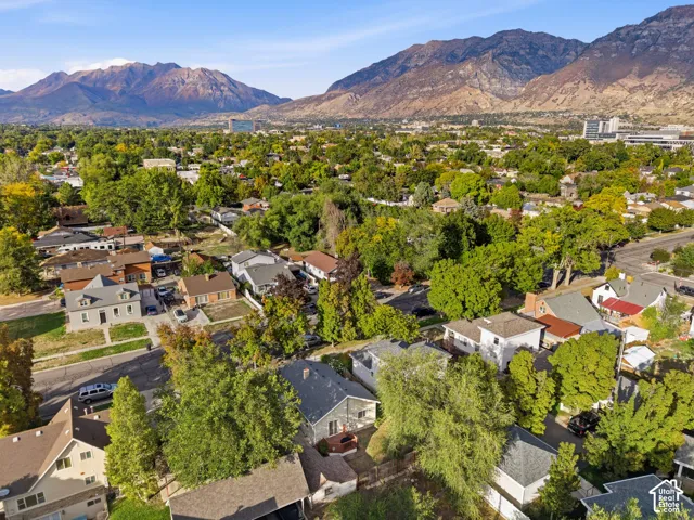 Mountain backdrop with a residential neighborhood featuring mature trees and established properties