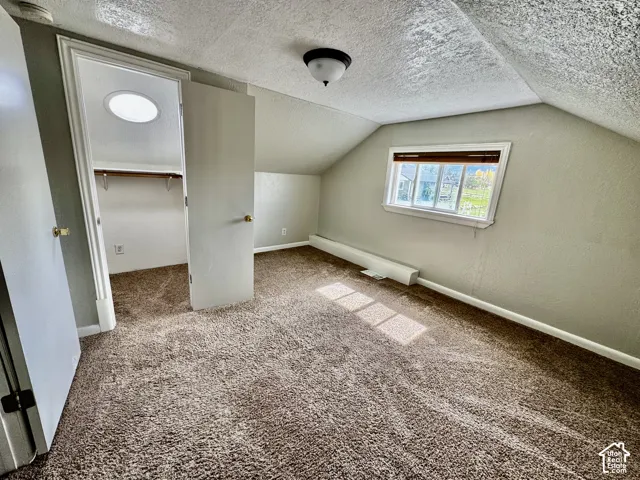 Carpeted room featuring a window with blinds, ceiling-mounted light fixture, and a built-in closet with shelving and an overhead skylight