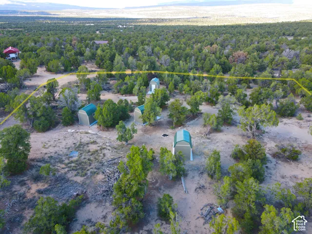 Expansive lot featuring numerous mature trees and multiple outbuildings