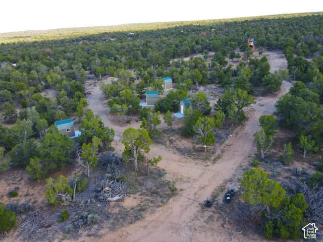 Expansive wooded acreage featuring multiple small structures, dirt paths, and dense natural foliage