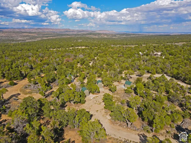 Expansive natural landscape with varied terrain and mature trees