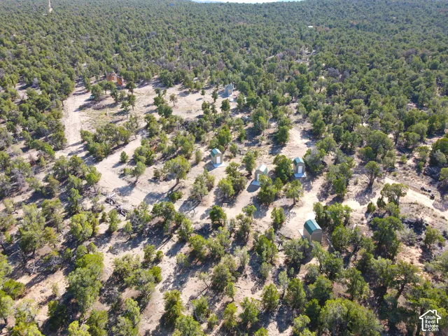 Expansive natural landscape featuring varied terrain and numerous mature trees