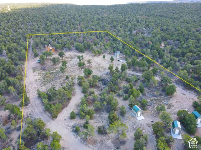 Expansive wooded property featuring multiple structures, including an A-frame building and several dome-shaped units