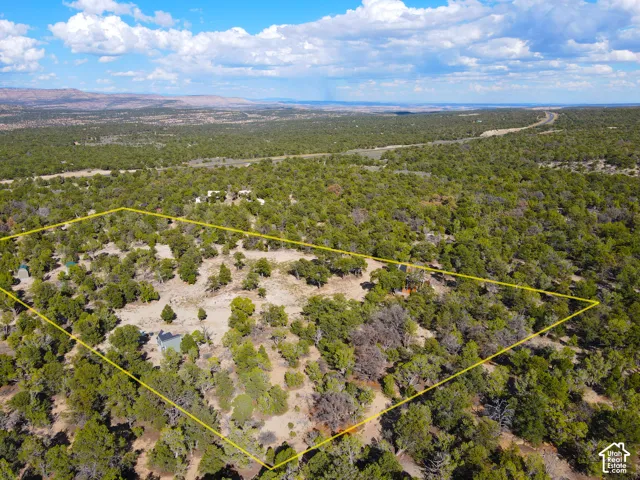 Expansive parcel featuring diverse tree coverage and multiple clearings
