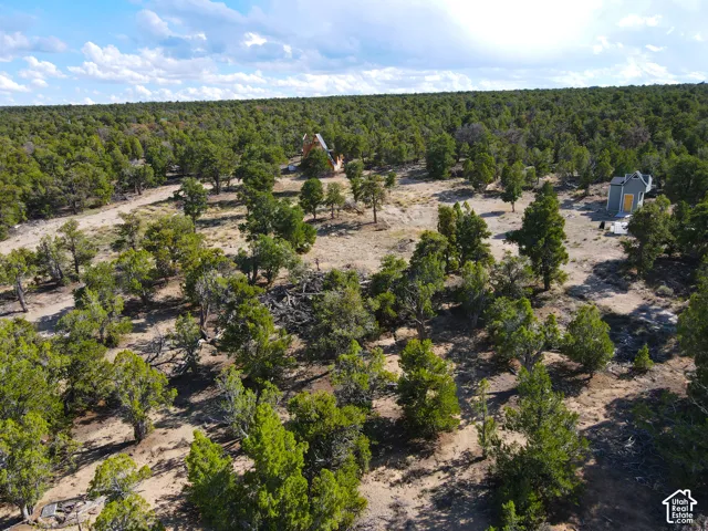 Expansive wooded land featuring two distinct structures