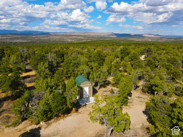 Expansive treed landscape with a standalone structure featuring a metal roof and light-colored siding