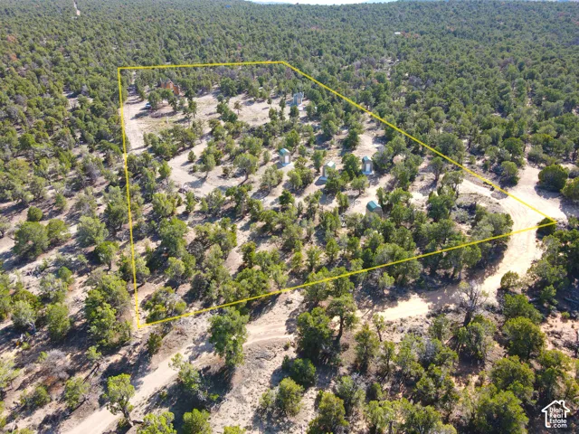 Expansive property featuring dense tree coverage, multiple accessory structures, and a winding dirt path