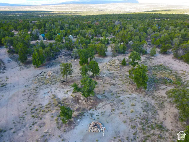 Expansive natural landscape with varied terrain, featuring an established fire pit area, scattered evergreen trees, and distant natural scenery